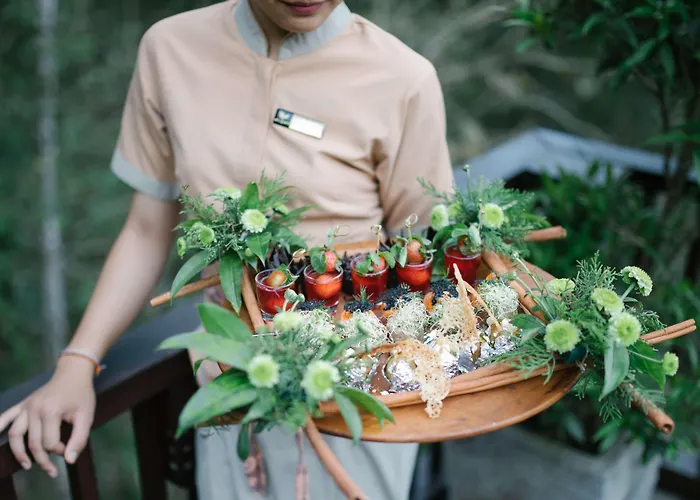 Nandini Jungle By Hanging Gardens 度假村