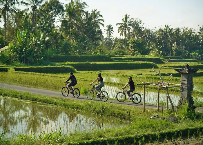 度假村 Nandini Jungle By Hanging Gardens