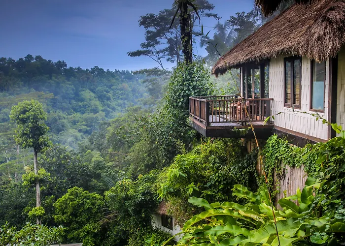 度假村 Nandini Jungle By Hanging Gardens 5*