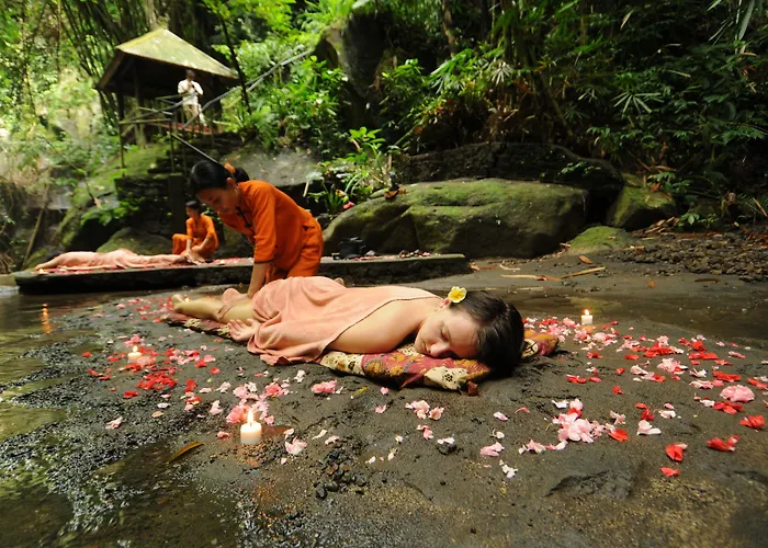 Nandini Jungle By Hanging Gardens 度假村