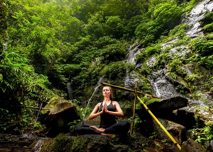 Nandini Jungle By Hanging Gardens 度假村 5*