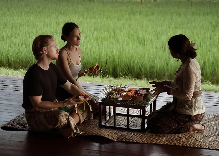 Nandini Jungle By Hanging Gardens 度假村